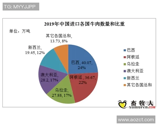 2019年蓝队与新西兰精彩对决重播回顾与分析 2019年蓝队与新西兰精彩对决重播回顾与分析