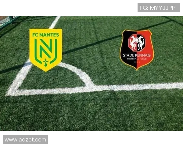 南特与阿梅里亚对决前瞻分析及赛果预测全解析