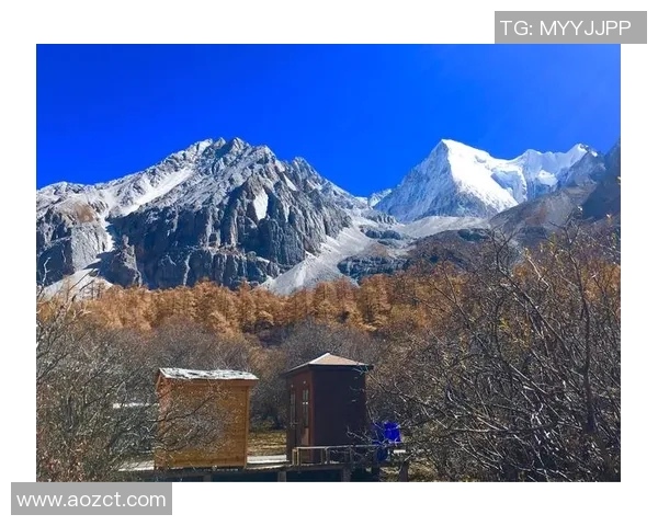 布莱克尼的神秘魅力与独特风景探秘之旅