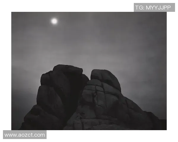 亚当斯的传奇人生与影响力探讨：从个人成就到社会变革的深远影响