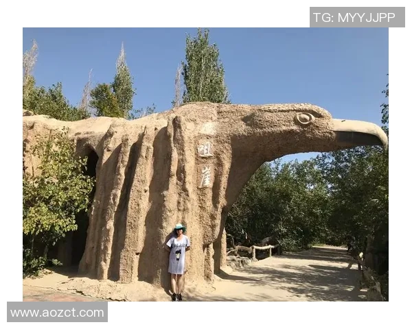 攀岩纪实：见证上海攀岩队从传统到现代的蜕变与成长之路